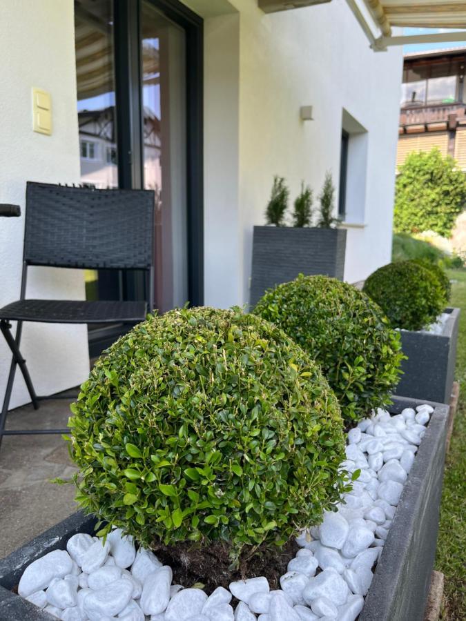 Appartement Schneekristall وستندورف المظهر الخارجي الصورة